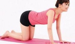 瑜伽爆料教练视频大全下载,揭秘瑜伽教学技巧与动作解析